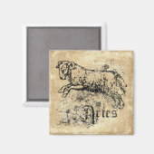 ヴィンテージ〔占星術の〕十二宮図アリ マグネット (正面/裏面)