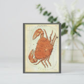 ヴィンテージ〔占星術の〕十二宮図星占いカニ星座 ポストカード (スタンド正面)