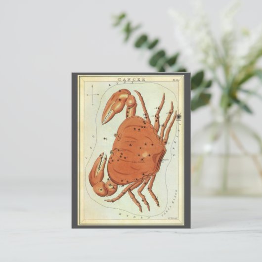 ヴィンテージ〔占星術の〕十二宮図星占いカニ星座 ポストカード (スタンド正面)