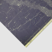 ヴィンテージ〔占星術の〕十二宮図空図 薄葉紙 (詳細)