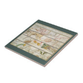 ヴィンテージ 天体図、ジョン・セラーによる天文学 タイル (側面)