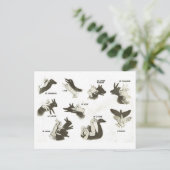 ヴィンテージ,影の人形の形,オムブレスチノアズ ポストカード (スタンド正面)