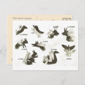 ヴィンテージ,影の人形の形,オムブレスチノアズ ポストカード (正面/裏面)