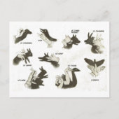 ヴィンテージ,影の人形の形,オムブレスチノアズ ポストカード (正面)