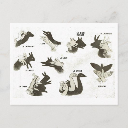 ヴィンテージ,影の人形の形,オムブレスチノアズ ポストカード (正面)