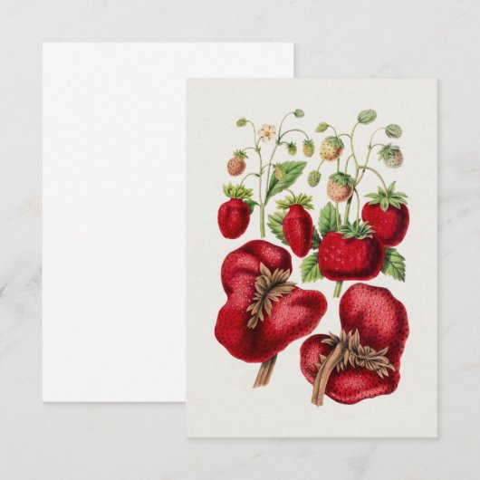 ヴィンテージ 招待状 (正面/裏面)