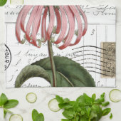 ヴィンテージ（昆虫）オオカバマダラ、モナークバタフライキッチンハンドタオル キッチンタオル (折り畳み)