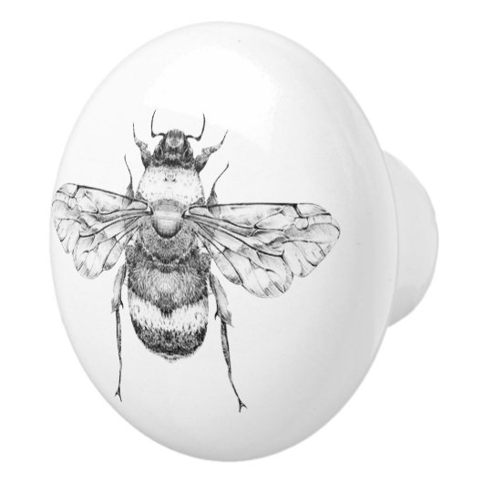 ヴィンテージ（昆虫）マルハナバチイラストレーション セラミックノブ (右)