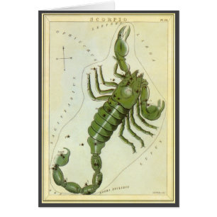 ヴィンテージ 星座, 占星術 蠍座