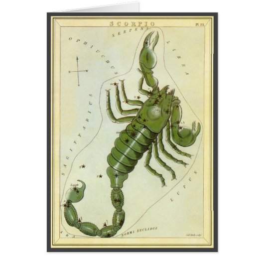 ヴィンテージ 星座, 占星術 蠍座 (正面)