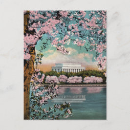 ヴィンテージ 桜 ワシントンDC ポストカード