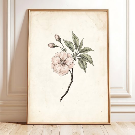 ヴィンテージ 桜 額縁入りアート ポスター