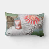 ヴィンテージ《植物》スイレンの花が池に ランバークッション (裏面)