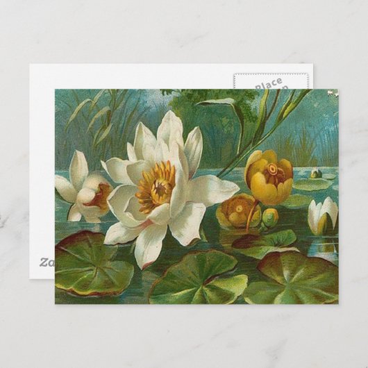 ヴィンテージ、水中競技フラワー、妻誕生日 ポストカード (正面/裏面)