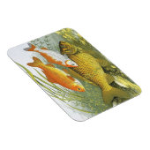 ヴィンテージ 水生 金魚 コイ 魚, 海洋 生物 マグネット (右側)