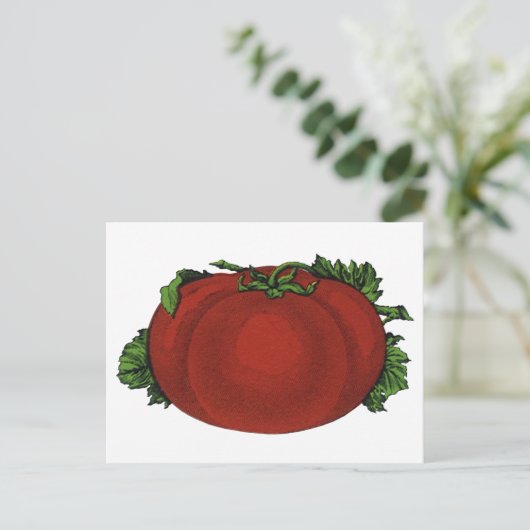 ヴィンテージ、熟したトマト、野菜と果物 ポストカード (スタンド正面)