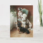 ヴィンテージ – 犬たちはクリスマスツリーを鑑賞しよう。 シーズンカード (正面)