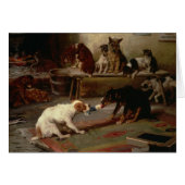 ヴィンテージ-犬の演劇の綱引き、 (正面横)