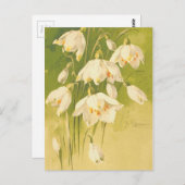 ヴィンテージ 白いすずらんの花 ポストカード (正面/裏面)