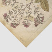 ヴィンテージ 科学的植物標本館 植物学 薄葉紙 (詳細)