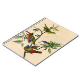 ヴィンテージ・絵画オーデュボン・バンティン・バ絵画ード  ノートブック (左側)