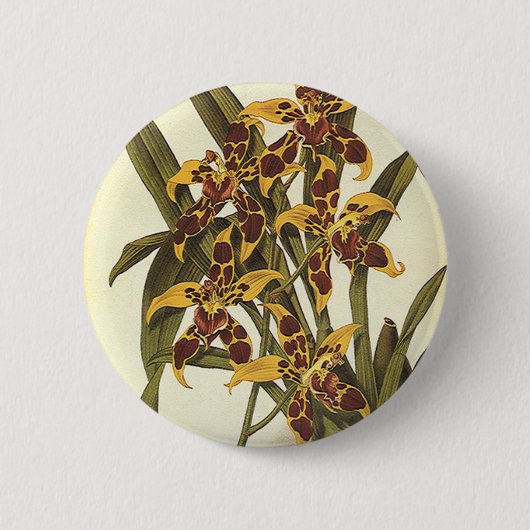 ヴィンテージ 缶バッジ (正面)