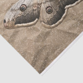 ヴィンテージ 薄葉紙 (詳細)