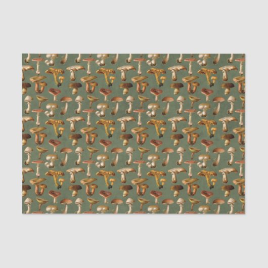 ヴィンテージ 薄葉紙 (正面)