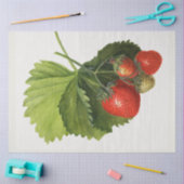 ヴィンテージ 薄葉紙 (クラフト)