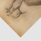 ヴィンテージ 薄葉紙 (詳細)