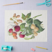 ヴィンテージ 薄葉紙 (クラフト)