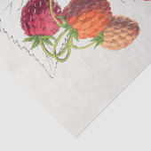 ヴィンテージ 薄葉紙 (詳細)