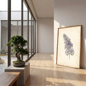 ヴィンテージ 蝶 植物図鑑 ポスター