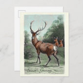 ヴィンテージ 赤鹿の雄 彩色 季節のご挨 ポストカード (正面/裏面)