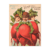 ヴィンテージ：農広告業 – 