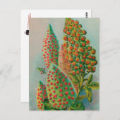 ヴィンテージ：農広告業 –  ポストカード (正面/裏面)