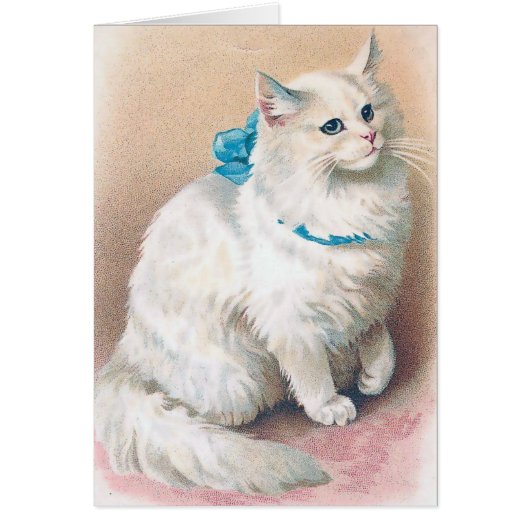 ヴィンテージ-青い弓を持つ白い猫、 (正面)