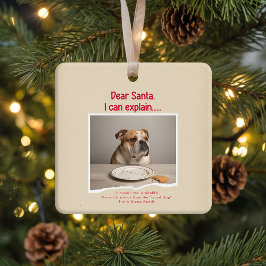 ヴィンテージ 面白い 犬 ペット 写真 クリスマス 休日 セラミックオーナメント