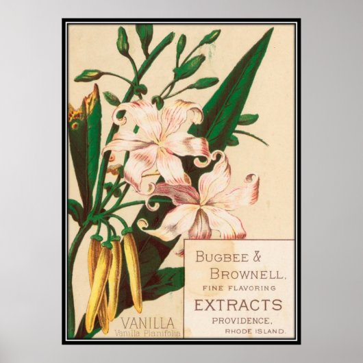 ヴィンテージ：食広告べ物 –  ポスター (正面)