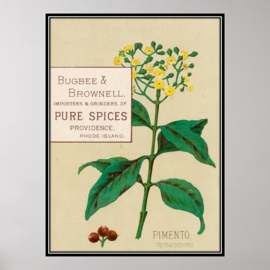 ヴィンテージ:食広告べ物 – ポスター (正面)