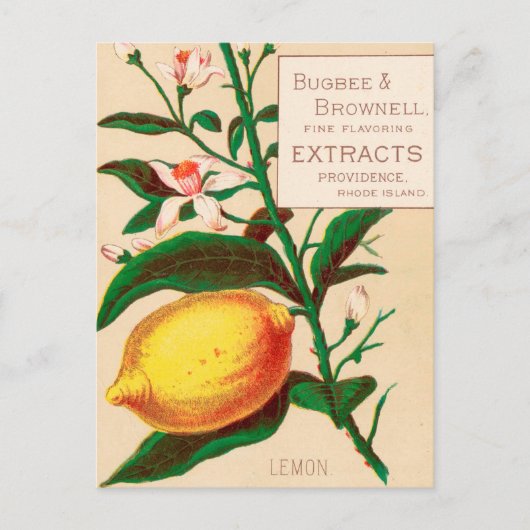 ヴィンテージ：食広告べ物 –  ポストカード (正面)