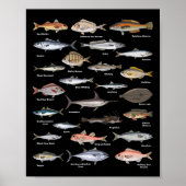 ヴィンテージ 魚図鑑 釣り  ポスター (正面)