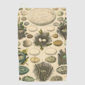 ヴィンテージ　鳥の卵の巣のアート絵画　自然史 ゴルフタオル (正面)