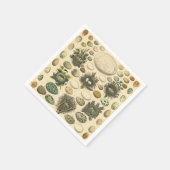 ヴィンテージ　鳥の卵の巣のアート絵画　自然史 スタンダードカクテルナプキン (角)