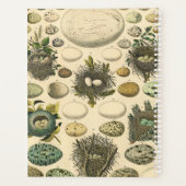 ヴィンテージ　鳥の卵の巣のアート絵画　自然史 プランナー手帳 (裏面)
