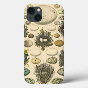 ヴィンテージ　鳥の卵の巣のアート絵画　自然史 iPhone 13ケース