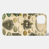 ヴィンテージ　鳥の卵の巣のアート絵画　自然史 Case-Mate iPhoneケース (裏面 (横))