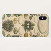 ヴィンテージ　鳥の卵の巣のアート絵画　自然史 Case-Mate iPhoneケース (裏面(横))