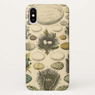ヴィンテージ　鳥の卵の巣のアート絵画　自然史 iPhone X ケース