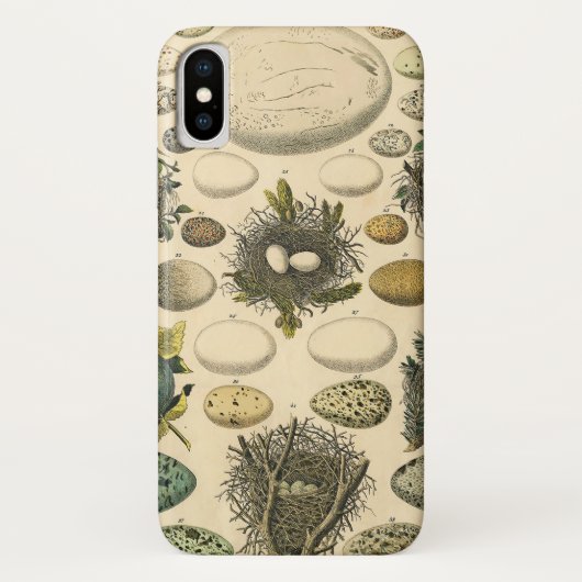 ヴィンテージ　鳥の卵の巣のアート絵画　自然史 Case-Mate iPhoneケース (裏面)